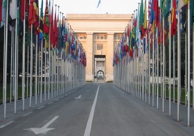 UN Flags